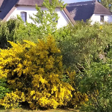 Lod - Biesewig *